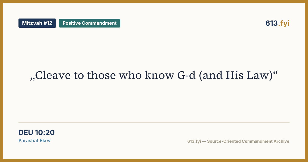 Social card for Mitzvah #12