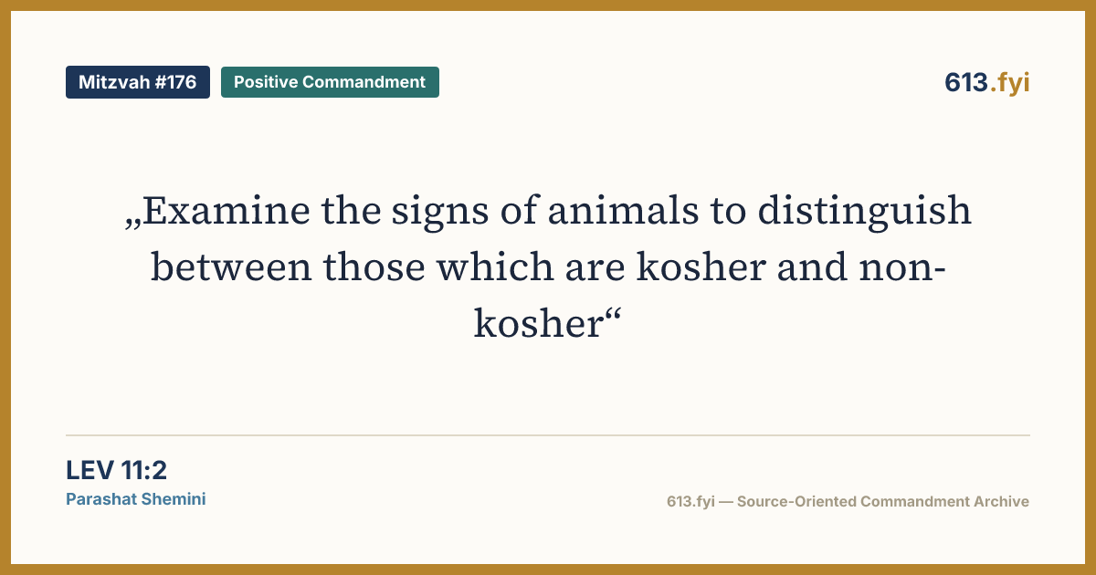 Social card for Mitzvah #176