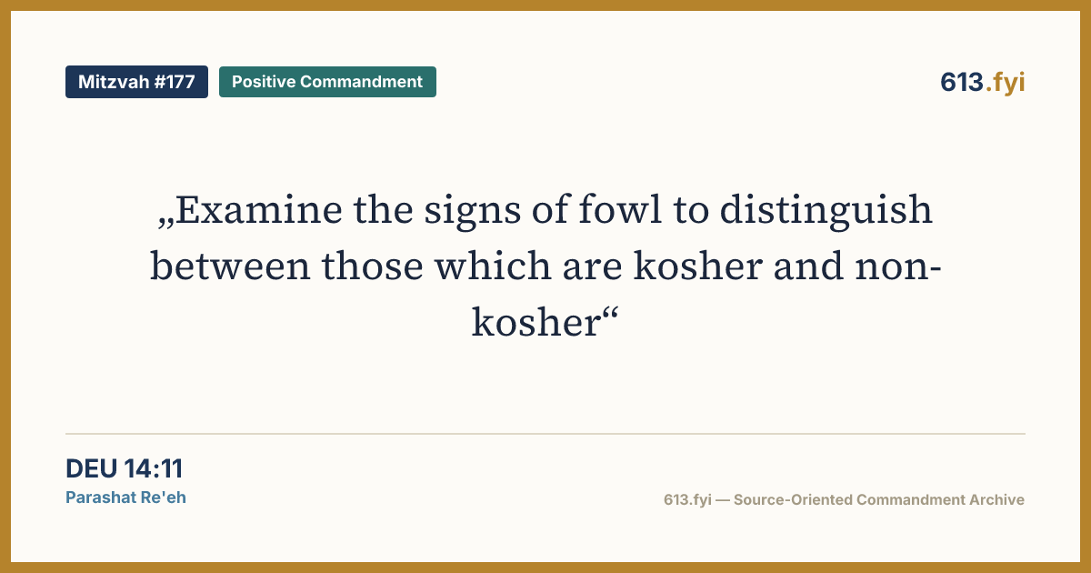 Social card for Mitzvah #177