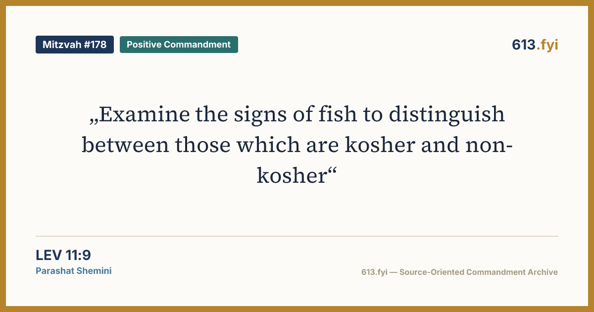 Social card for Mitzvah #178
